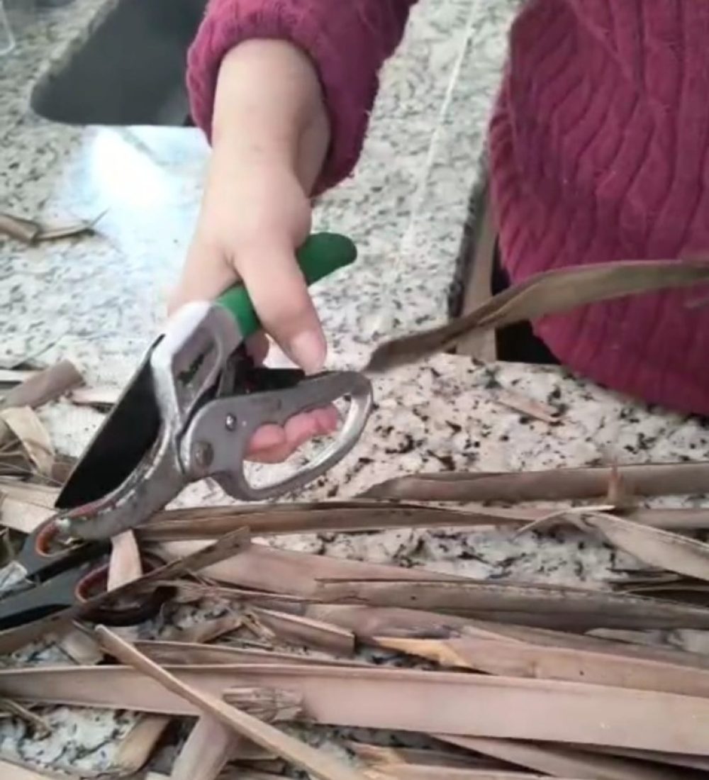 Tia Bai dando vida no capim