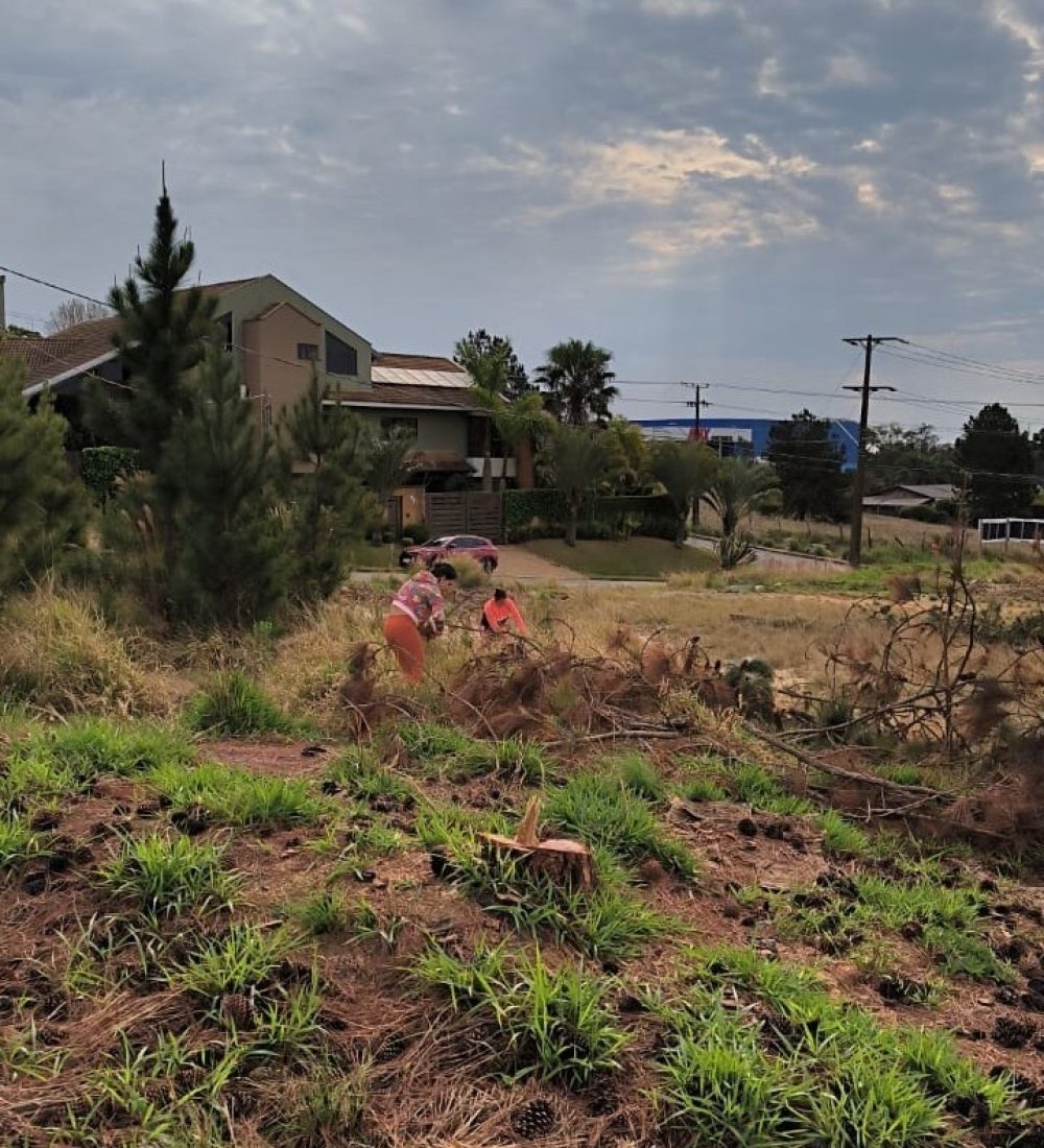 Halline e Marcia na busca