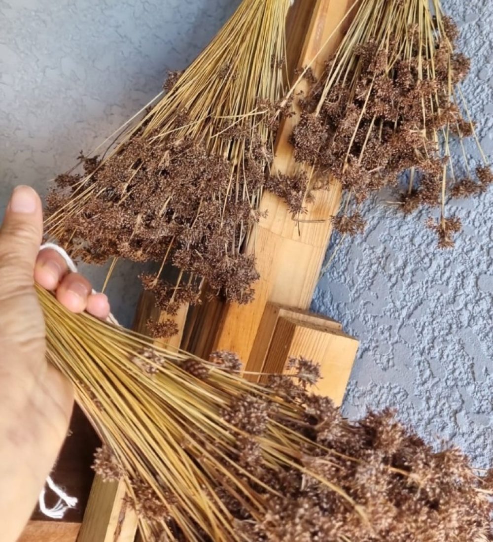 Colheita do final de semana