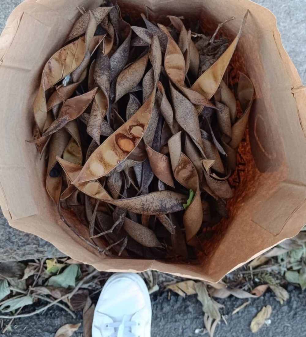 Motrando a conquista do final de semana