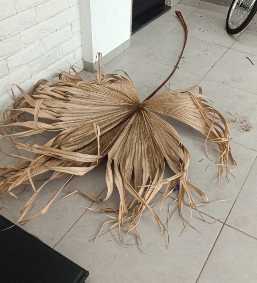 Mais uma foto aleatória no grupo